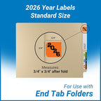 2026 Year Labels, Doctor Stuff 2026 Chart Stickers, Ringbook Sheets, Jeter Style - Image 6