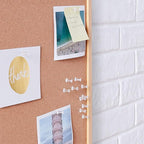 Amazon Basics Push Pins Tacks, Steel Point, - Image 4