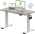 FLEXISPOT EN1 One-Piece Standing Desk
