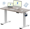 FLEXISPOT EN1 One-Piece Standing Desk by FlexiSpot