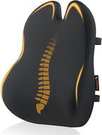 ProtoArc Lumbar Support Pillow for Office Chair, Memory Foam Back Support by ProtoArc