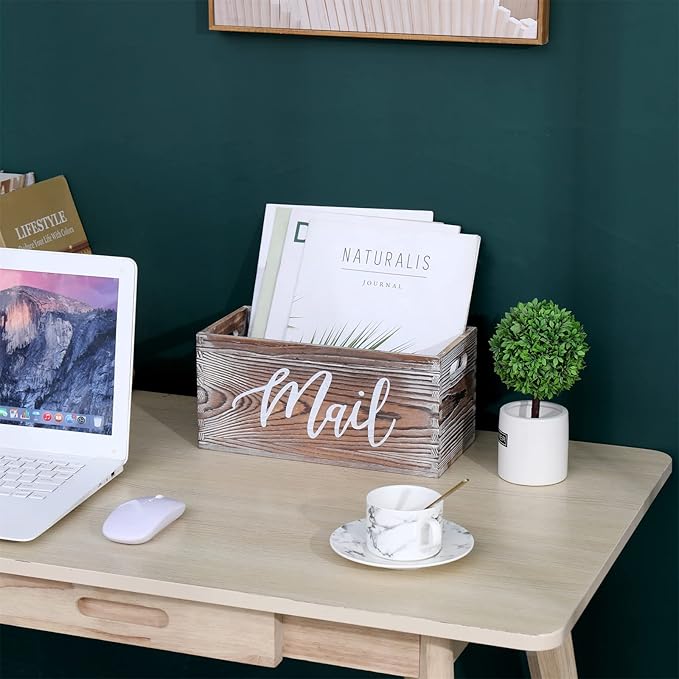 CFYACFY Mail Organizer Magazine Countertop Mail Storage Organizer - Image 3