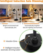 bohon led desk lamp with usb charging port showing dimensions