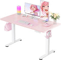 ErGear Height Adjustable Electric Standing Desk, 48 x 24 Inches Sit Stand up by ErGear
