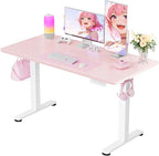 ErGear Height Adjustable Electric Standing Desk, 48 x 24 Inches Sit Stand up by ErGear