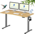 FLEXISPOT EN1 Bamboo Standing Desk, 55 x 28 Inches Whole-Piece Electric by FlexiSpot