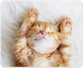 Auhoahsil Mouse Pad, 12 x 10 in Cute Cat Theme Computer Mouse Pad by Auhoahsil