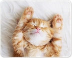 Auhoahsil Mouse Pad, 12 x 10 in Cute Cat Theme Computer Mouse Pad by Auhoahsil