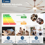 amico 72 inch ceiling fans with lights and, close-up detail