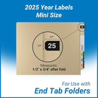 2025 MINI Year Labels, Doctor Stuff 2025 Chart Stickers, Ames Small Style - Image 5