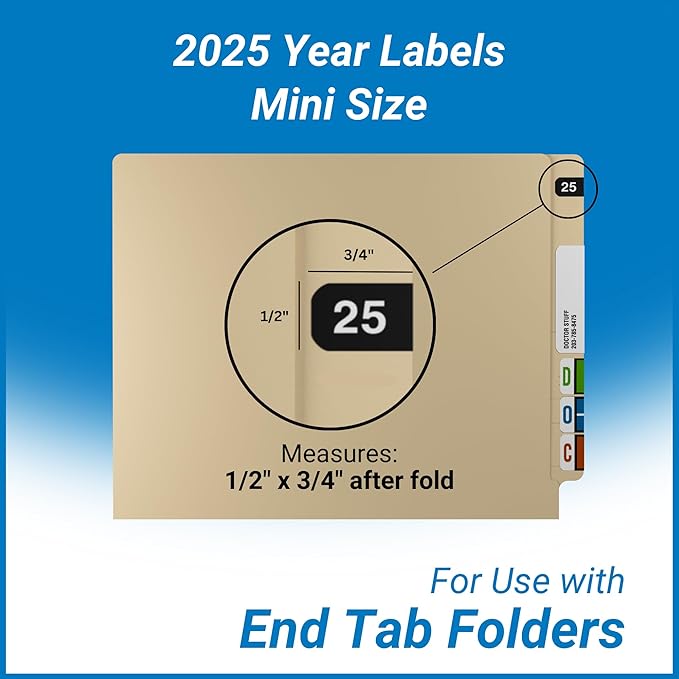 2025 MINI Year Labels, Doctor Stuff 2025 Chart Stickers, Ames Small Style - Image 5