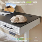 wow97e Electric Standing Desk - Image 4