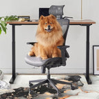 Anidaroel Office Chair Mat for Hardwood/Tile Floor, Under Desk Rug for Rolling - Image 7
