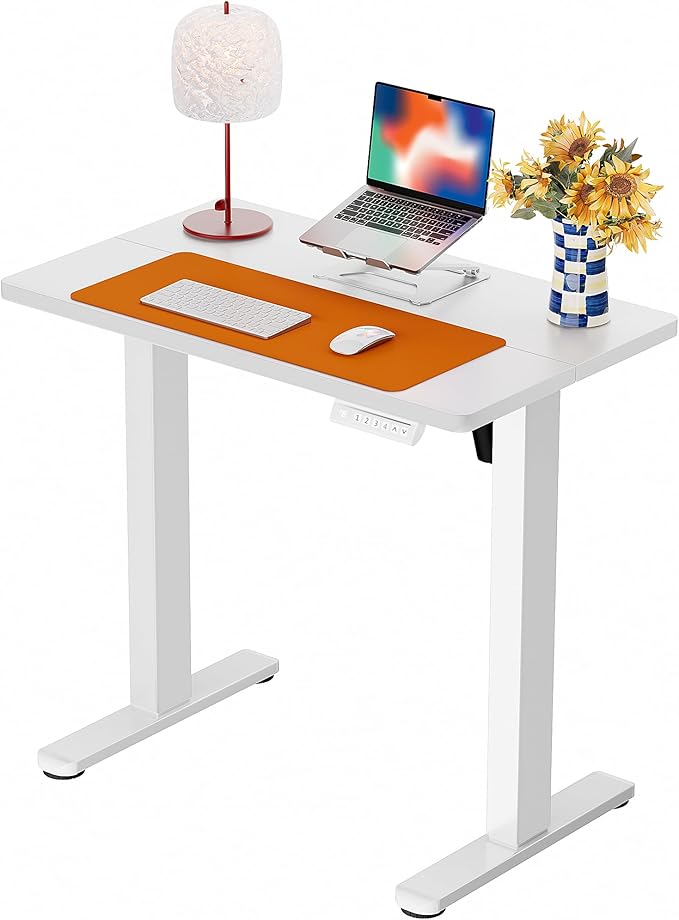 ErGear Height Adjustable Electric Standing Desk, 31.5 x 18.9 Inches Sit Stand by ErGear