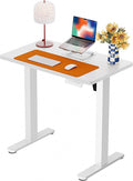 ErGear Height Adjustable Electric Standing Desk, 31.5 x 18.9 Inches Sit Stand by ErGear