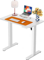 ErGear Height Adjustable Electric Standing Desk, 31.5 x 18.9 Inches Sit Stand by ErGear