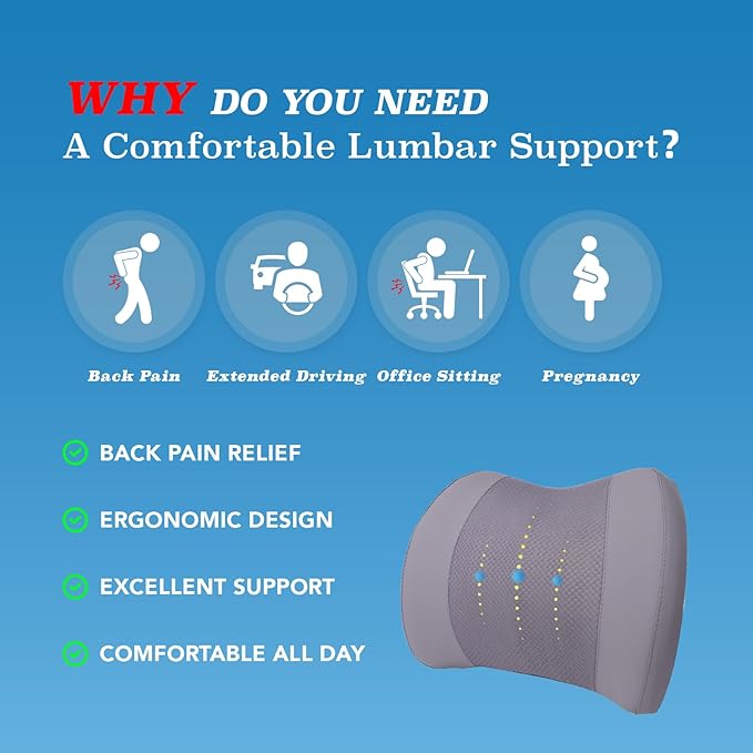Lofty Aim Lumbar Support Pillow - Image 3