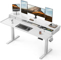 ErGear Electric Standing Desk by ErGear