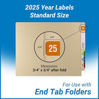 2025 Year Stickers, Doctor Stuff 2025 Chart Stickers, Ringbook Sheets, Reynolds - Image 5