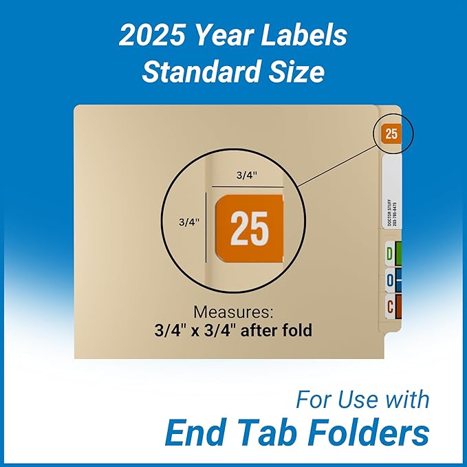 2025 Year Stickers, Doctor Stuff 2025 Chart Stickers, Ringbook Sheets, Reynolds - Image 5
