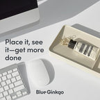 BLUE GINKGO Desk Tray – Korean-Made Organizer - Image 4