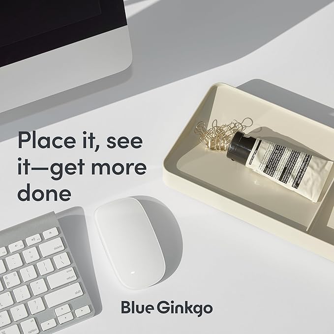 BLUE GINKGO Desk Tray – Korean-Made Organizer - Image 4