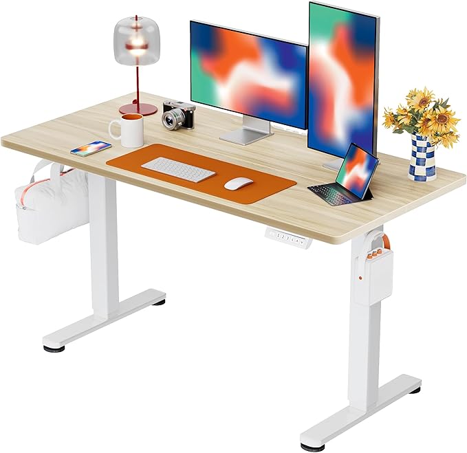 Ergear Height Adjustable Electric Standing Desk, 48x24 Inches Sit Stand up by ErGear