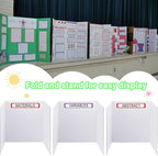 Trifold Display Boards with Colorful Self-Adhesive Sheets – 24 x 16 Inch - Image 3