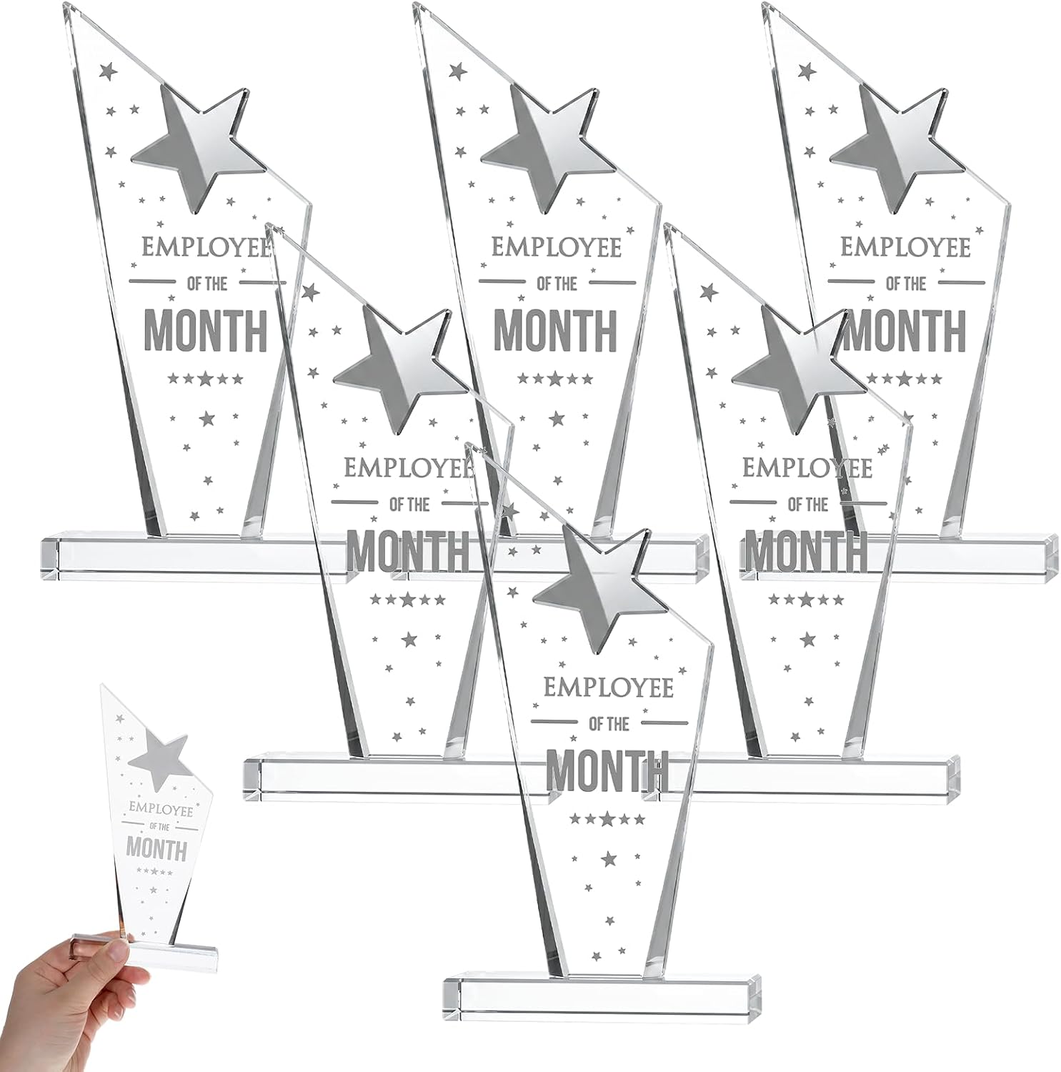 6 Pcs Employee of The Month Plaque Trophy, Employee Appreciation Awards for Coworker, Retirement Goodbye Farewell Gift, Reward Sign Keepsake for Women & Men, Clear
