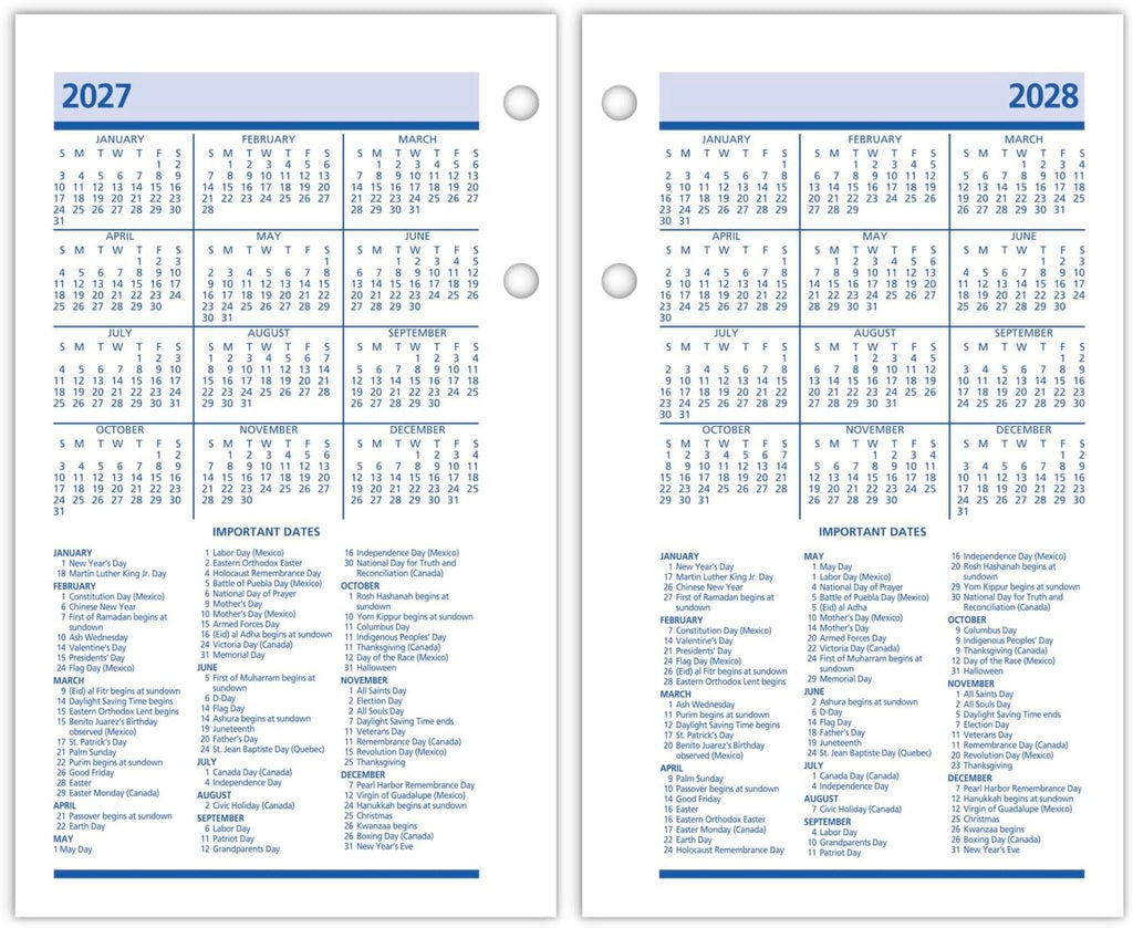AT-A-GLANCE 2025 Desk Calendar Refill, Daily, 3-1/2" x 6", Standard, Loose-Leaf, QuickNotes (E5175025)