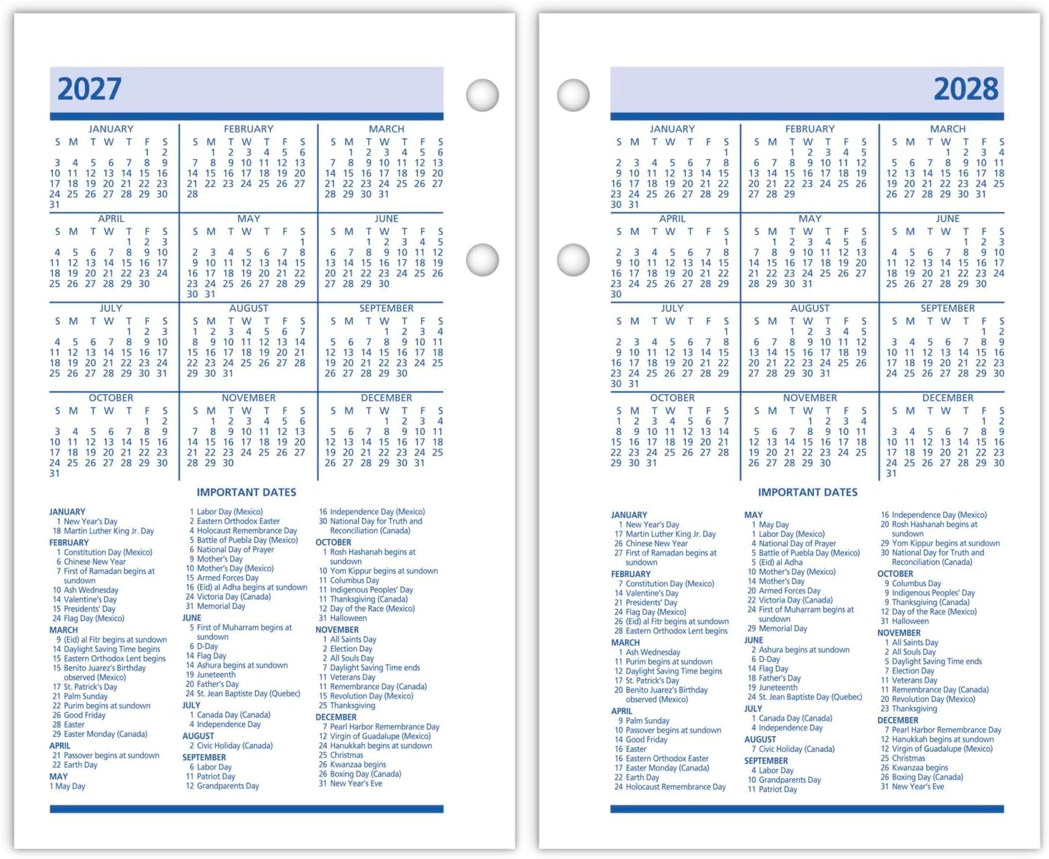 AT-A-GLANCE 2025 Desk Calendar Refill, Daily, 3-1/2" x 6", Standard, Loose-Leaf, QuickNotes (E5175025)