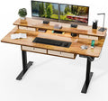 Kingant 63 x 30 Inch Electric Standing Desk by KINGANT