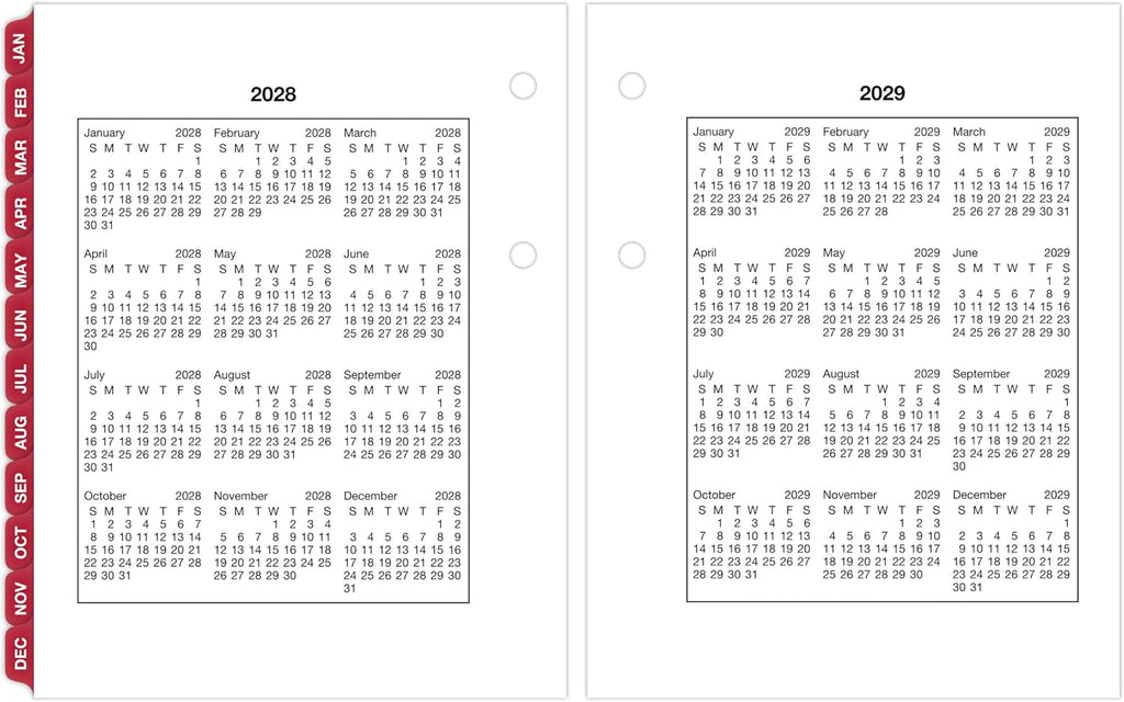 AT-A-GLANCE 2027 Desk Calendar Refill, Daily Desk Pad Refill, 3" x 3.75", Loose-Leaf (E9195027)