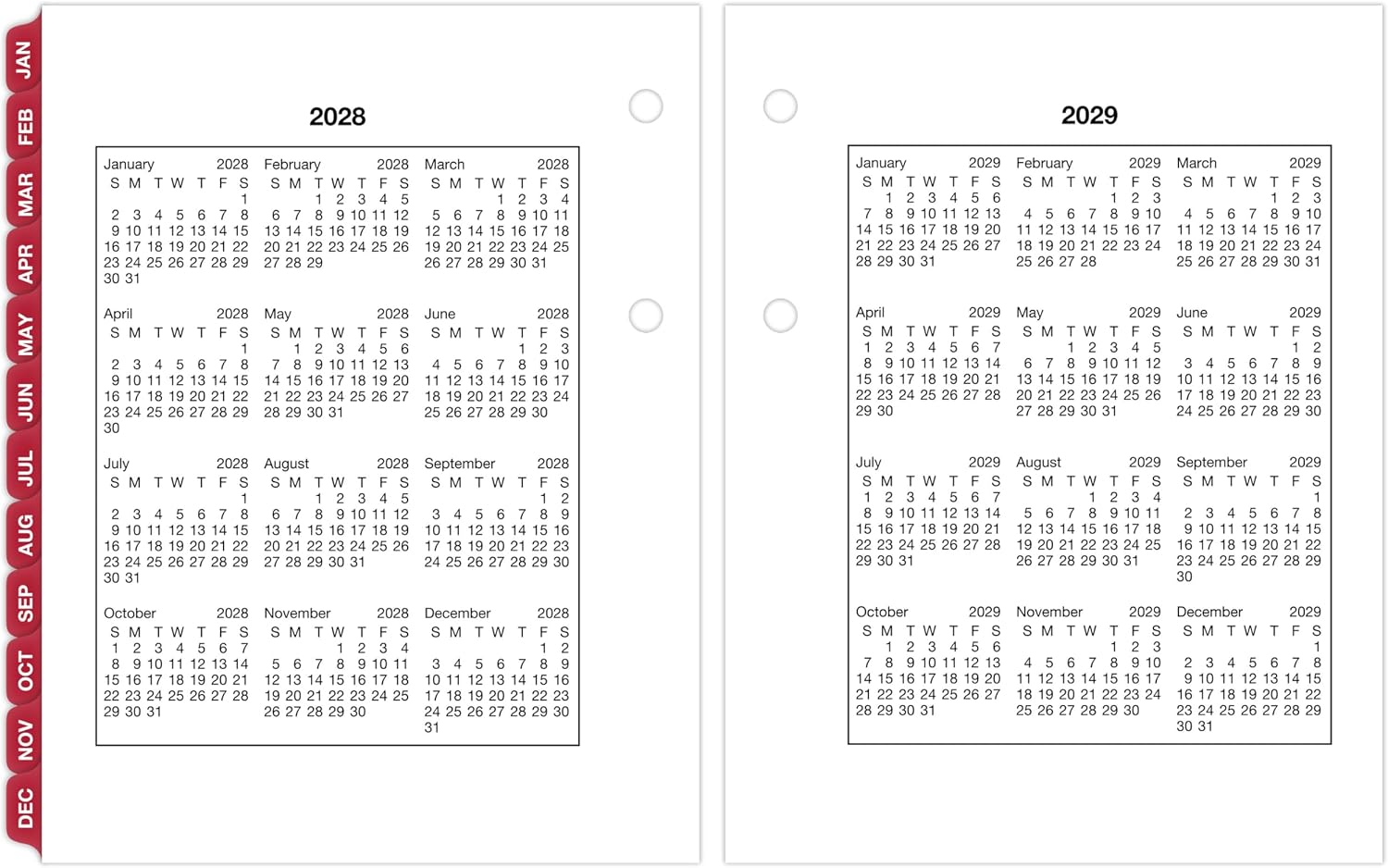 AT-A-GLANCE 2027 Desk Calendar Refill, Daily Desk Pad Refill, 3" x 3.75", Loose-Leaf (E9195027)