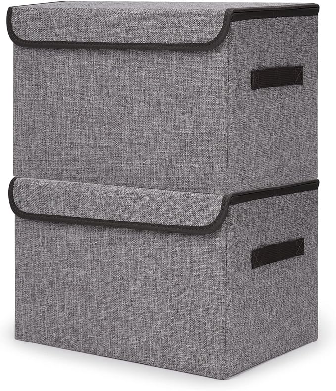Bagnizer Large 42 Quarts Fabric Storage Bins by Bagnizer