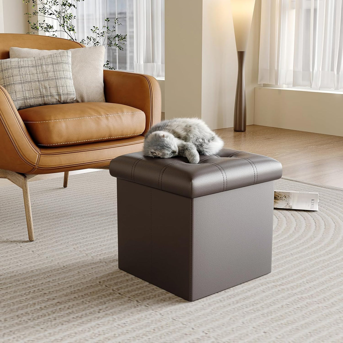 YOUDENOVA Storage Ottoman, Small Ottoman Foot Rest, Ottoman with Storage