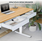 FLEXISPOT Q5 Standing Desk - Image 6