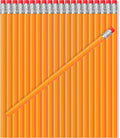 TecUnite 600 Pcs HB #2 Unsharpened Pencils bulk by TecUnite