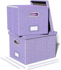 2 Pack File Storage Organizer, Filing Box, Portable File Box by Oterri