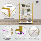 CAPHAUS 2 Tier Small Bookshelf, 24 Inch Width Free Standing Shelf, Bookcase - Image 5