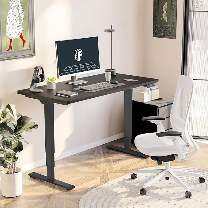 FlexiSpot E6 3-Stage Dual Motor Electric Standing Desk 48 x 30 Sit Stand Up Desk - Image 2