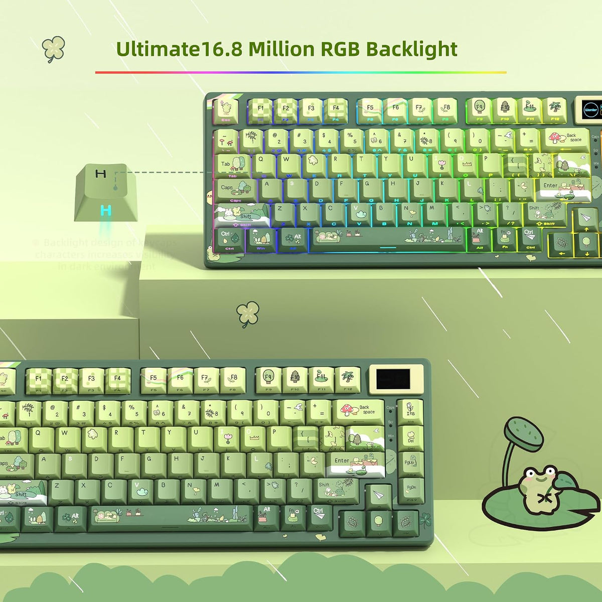 Womier SK80 75% Keyboard with Color Multimedia Display Mechanical Keyboard