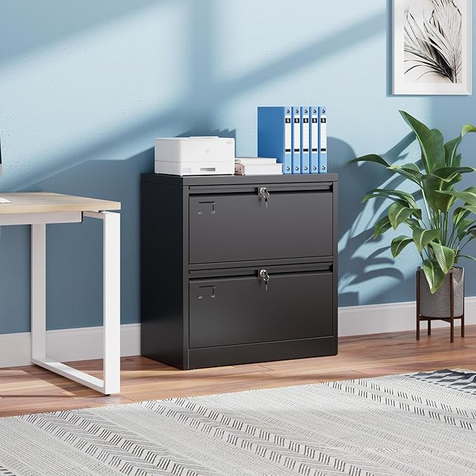 SUXXAN Metal 2 Drawer Lateral File Cabinet - Image 2