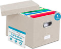 Internet's Best Collapsible File Storage Organizer Box by BIRDROCKHOME