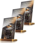 3 Pack Acrylic Sign Holder 8.5 x 11 Inch by EliteSign