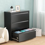 Pataku Metal Lateral File Cabinet - Image 8