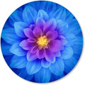 IMAYONDIA Mouse Pad, Non-Slip Rubber Base Mousepad by IMAYONDIA