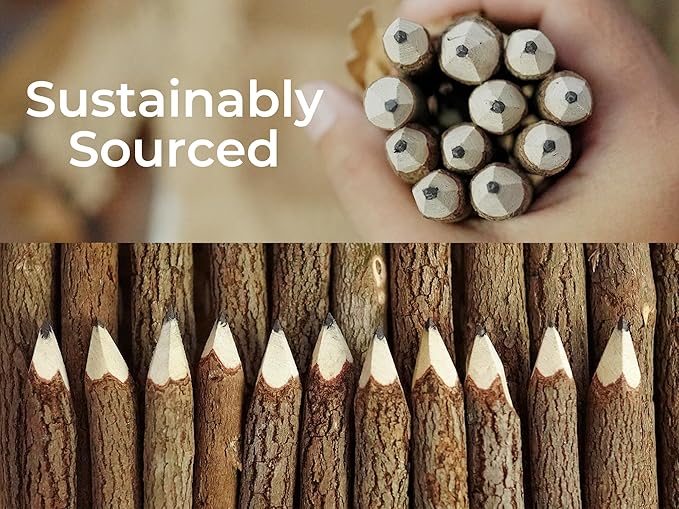 BSIRI Pencil Wood Favors of Graphite Wooden Tree Rustic Twig Pencils Birch of - Image 8