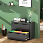 Greenvelly 2 Drawer File Cabinet, Metal Filing Cabinet - Image 2