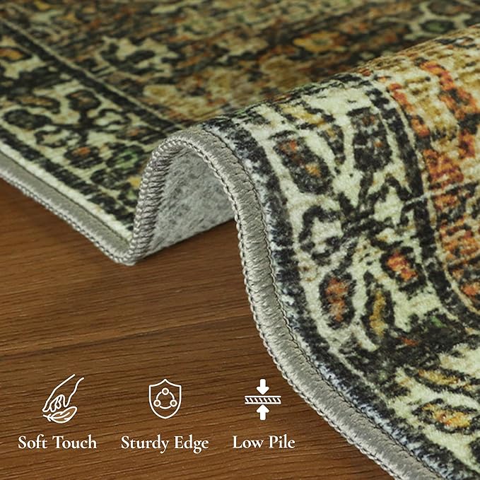 GENIMO Area Rug 2x3 Doormat, Machine Washable Low Pile Rugs, Small Retro - Image 5